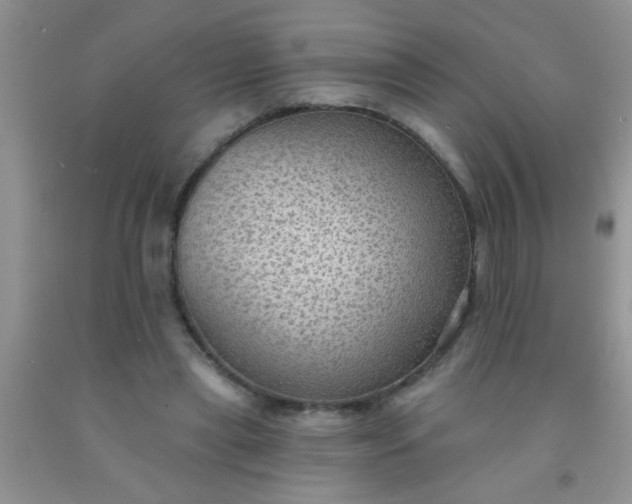 X0000092030445200709201615