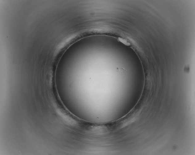 X0000092030446200709201615