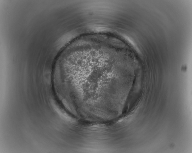 X0000092030447200709201615