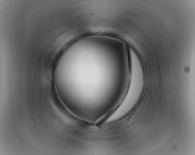 X0000092030448200709201615