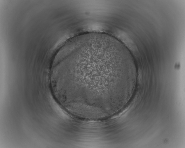 X0000092030449200709201615