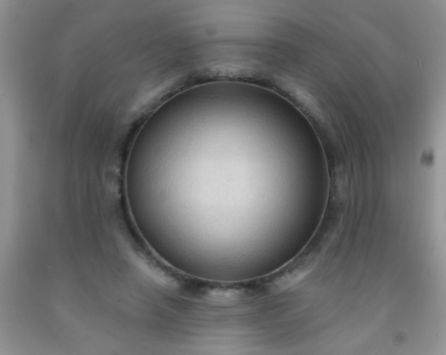 X0000092030450200709201615