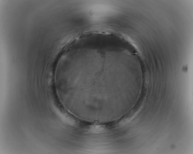 X0000092030451200709201615