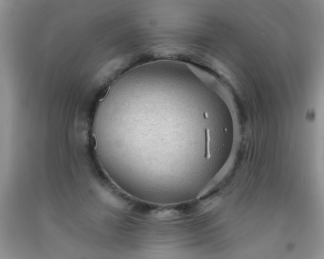 X0000092030452200709201615