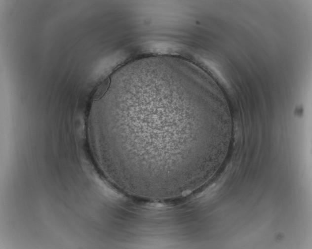 X0000092030453200709201615