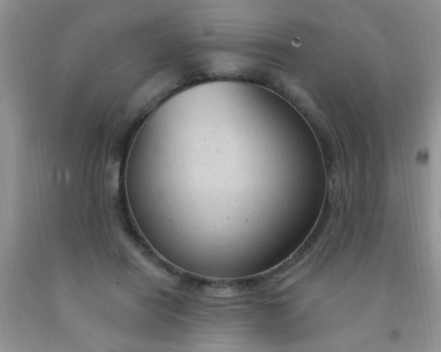 X0000092030454200709201615