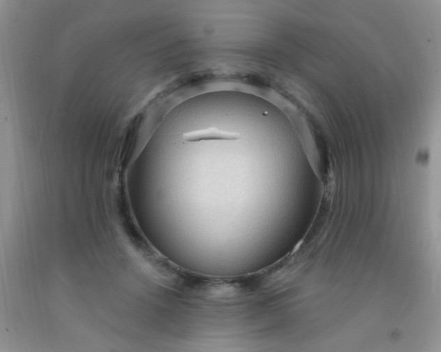 X0000092030456200709201615