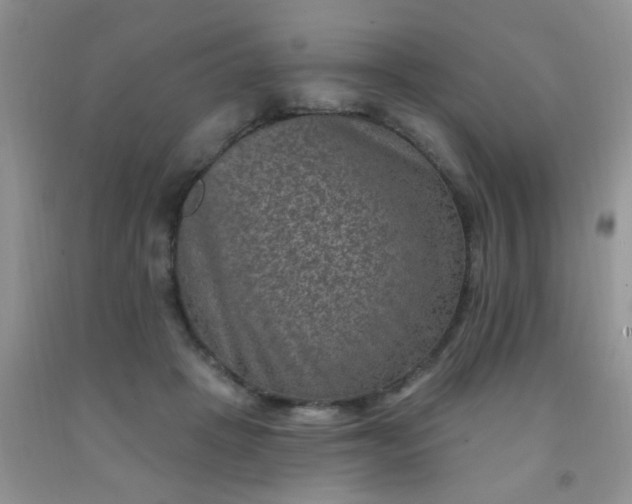 X0000092030457200709201615