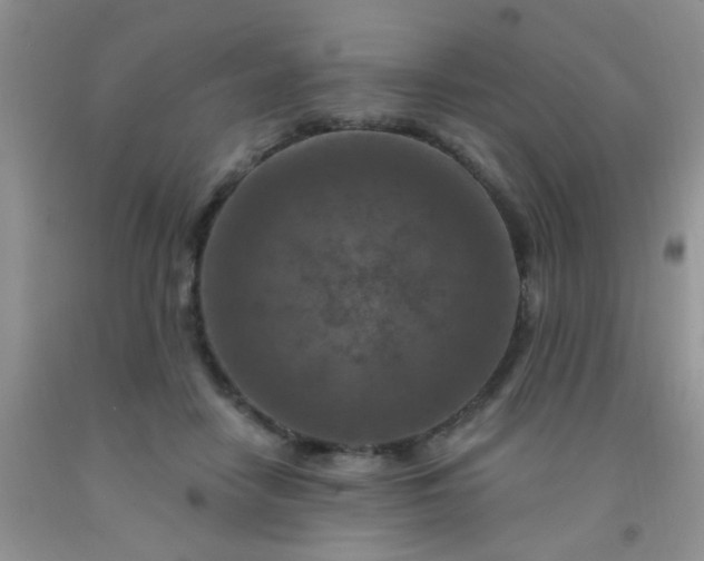 X0000092030458200709201615