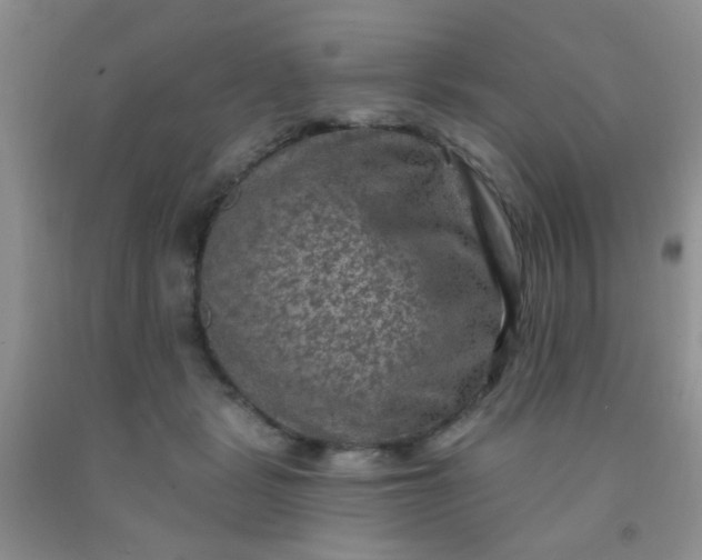 X0000092030461200709201615