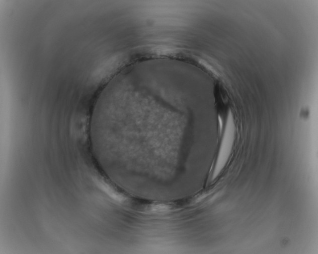 X0000092030462200709201615