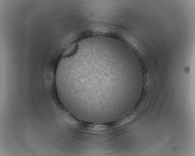 X0000092030463200709201615