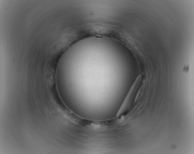 X0000092030464200709201615