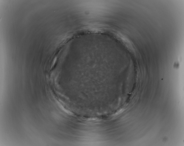 X0000092030465200709201615