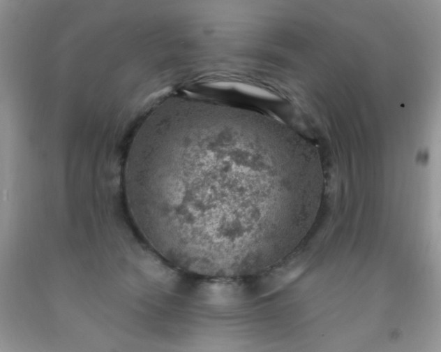 X0000092030466200709201615