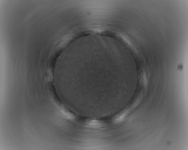 X0000092030467200709201615