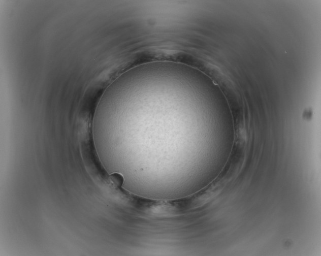 X0000092030468200709201615