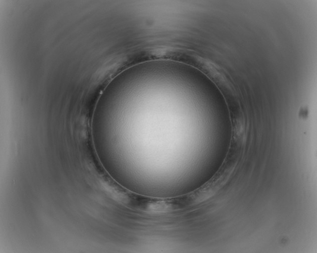 X0000092030470200709201615