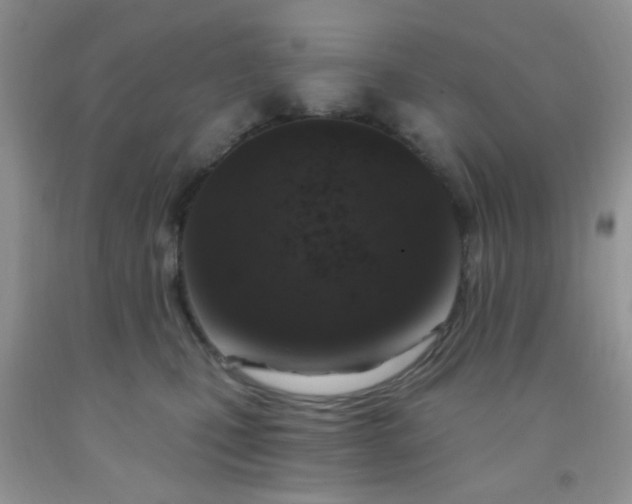 X0000092030471200709201615