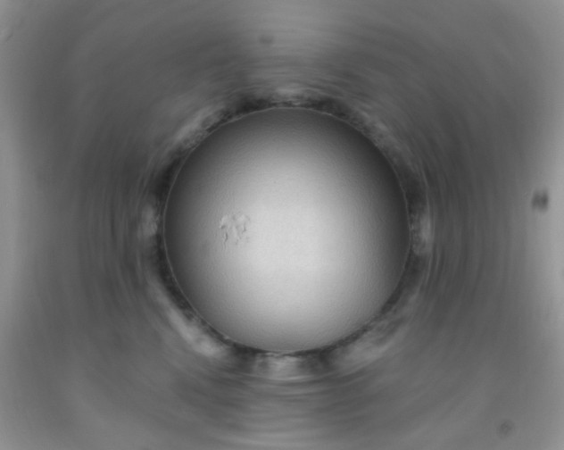 X0000092030472200709201615