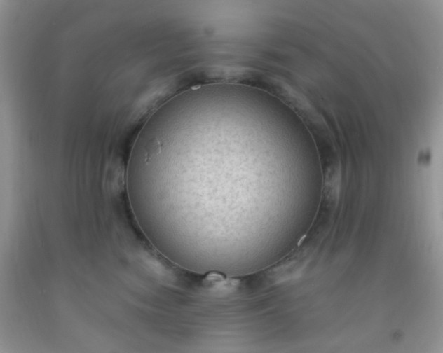 X0000092030474200709201615