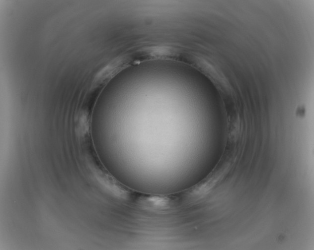 X0000092030478200709201616