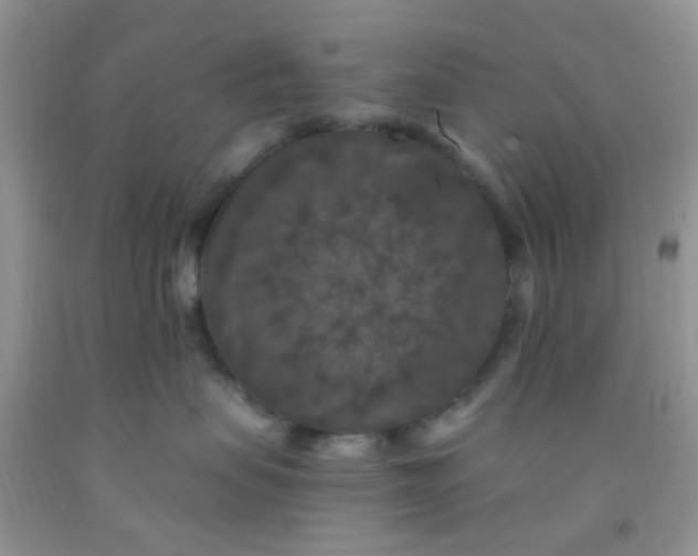 X0000092030479200709201616