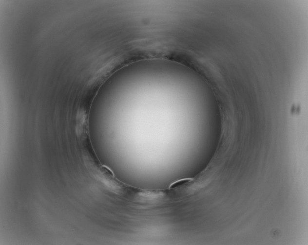 X0000092030480200709201616