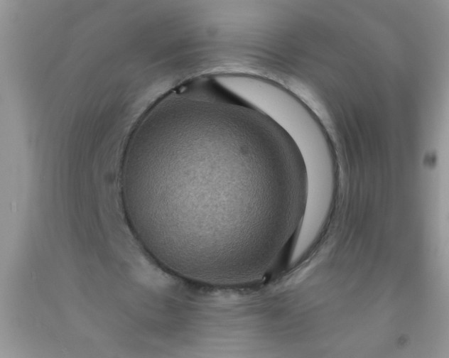 X0000092030481200709201615