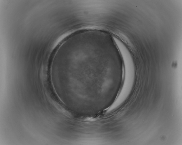 X0000092030484200709201615