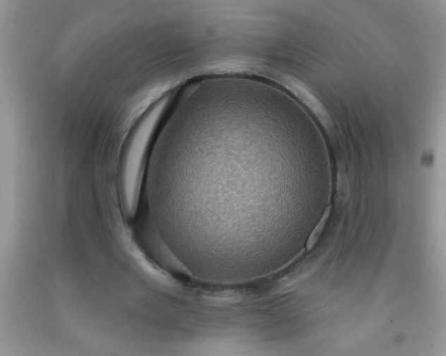 X0000092030485200709201615