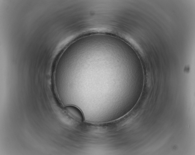 X0000092030486200709201615