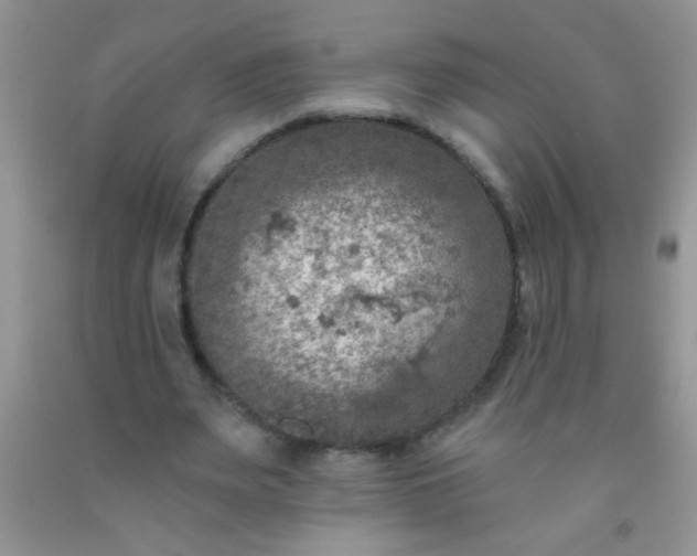 X0000092030487200709201615