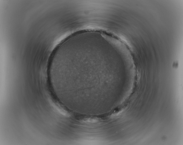 X0000092030488200709201615