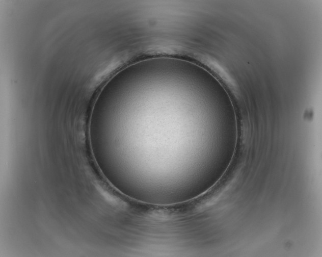 X0000092030489200709201615