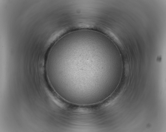 X0000092030490200709201615