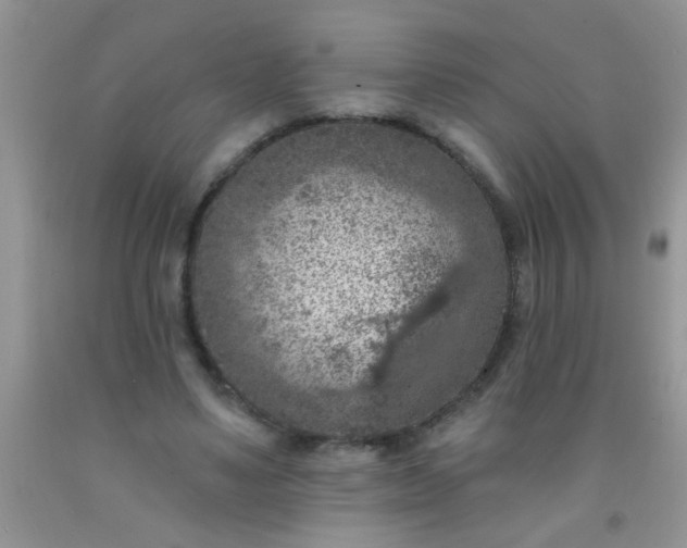 X0000092030491200709201615