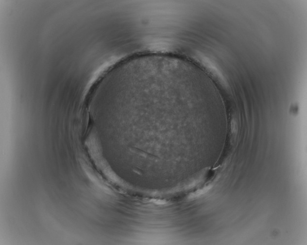 X0000092030492200709201615