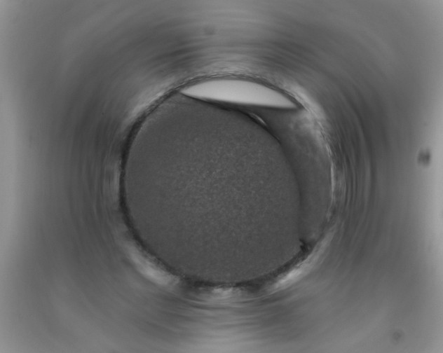 X0000092030493200709201615