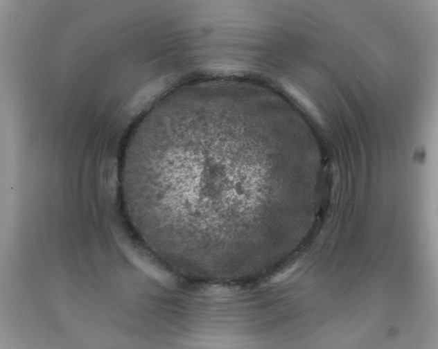 X0000092030494200709201615