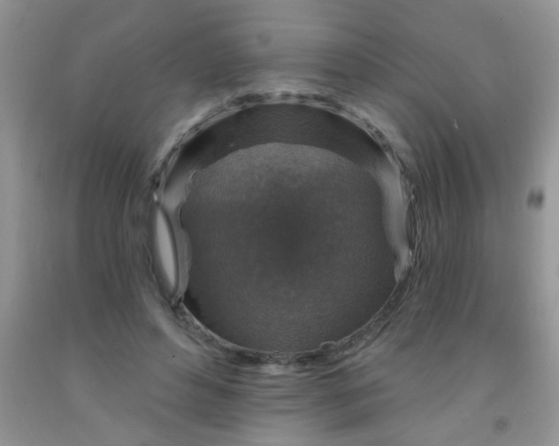 X0000092030496200709201615