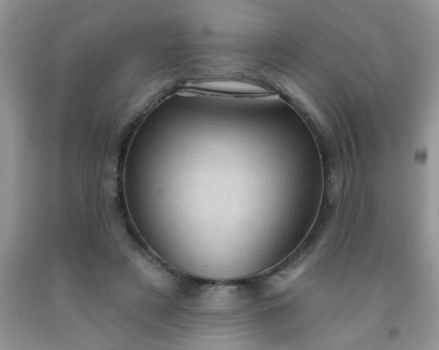 X0000092030497200709201615