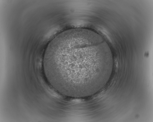 X0000092030499200709201615