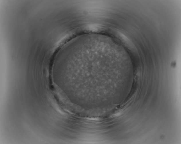 X0000092030500200709201615