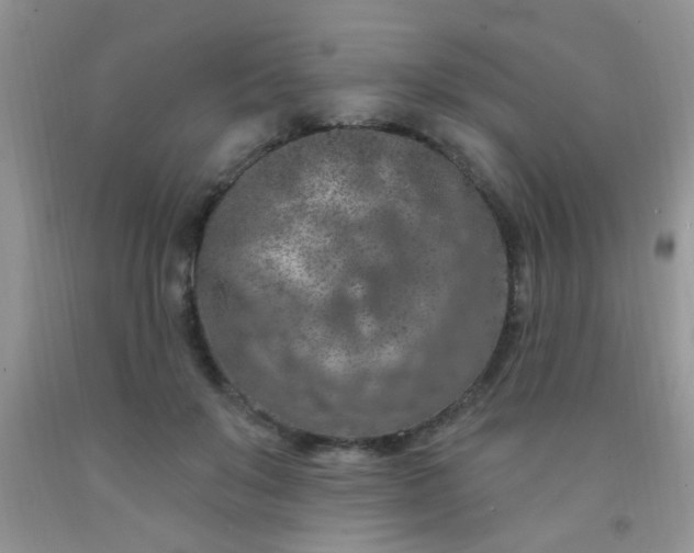 X0000092030503200709201615