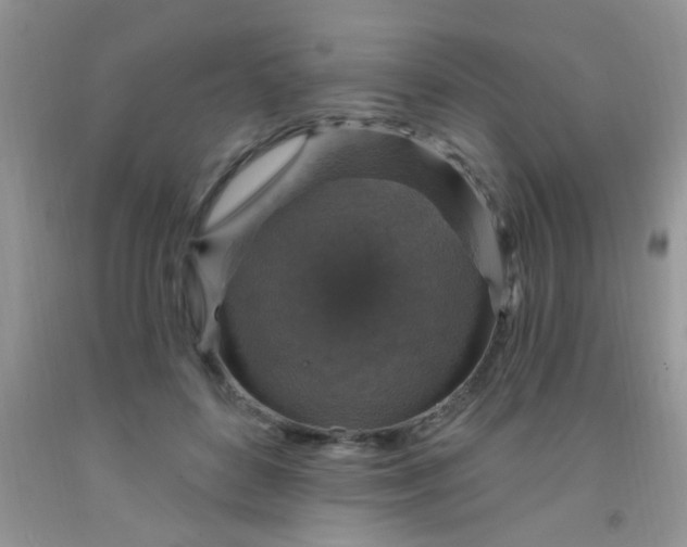 X0000092030504200709201615