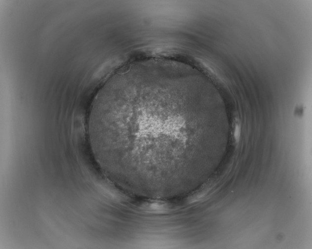 X0000092030506200709201615