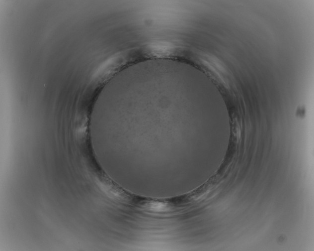 X0000092030507200709201615