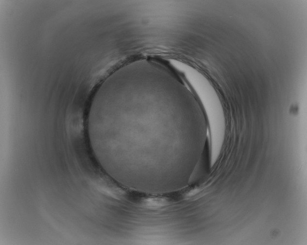 X0000092030508200709201615