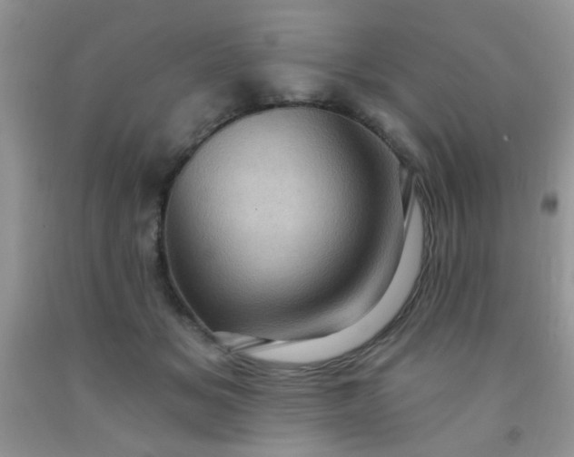 X0000092030509200709201615